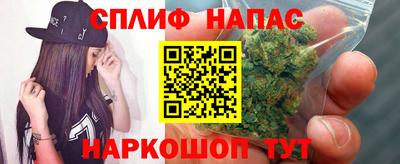 шишки Изобильный