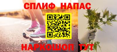 шишки Изобильный