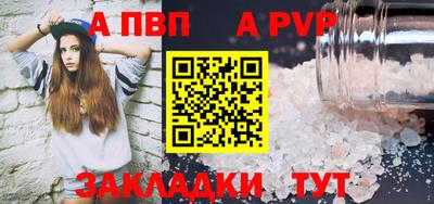 шишки Изобильный