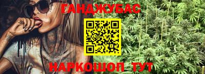 шишки Изобильный
