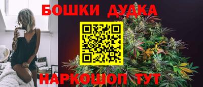 шишки Изобильный