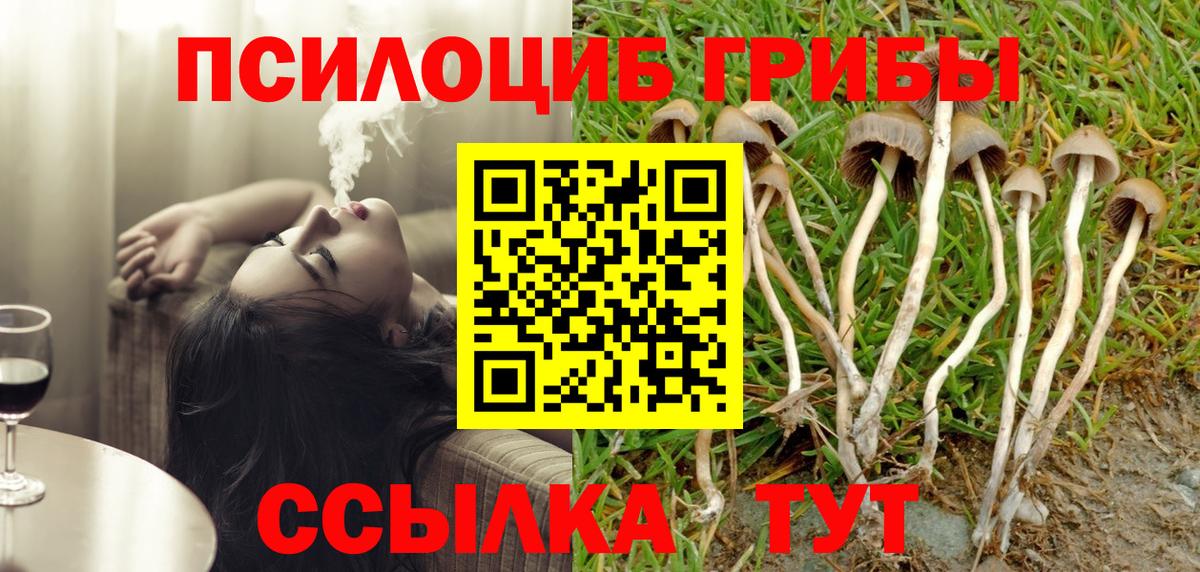 Псилоцибиновые грибы мухоморы  Псилоцибиновые грибы MAGIC MUSHROOMS  Вход с VPN  Гурьевск 