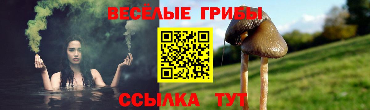 Галлюциногенные грибы MAGIC MUSHROOMS Гурьевск